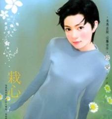 栽心TXT全集封面