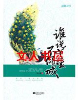 谁说丫鬟不倾城TXT全集封面