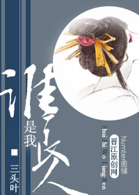 谁是我良人TXT全集封面