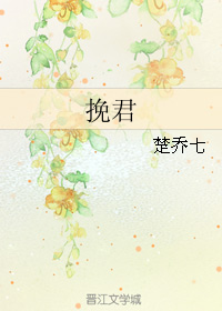 (小说同人)挽君TXT全集封面