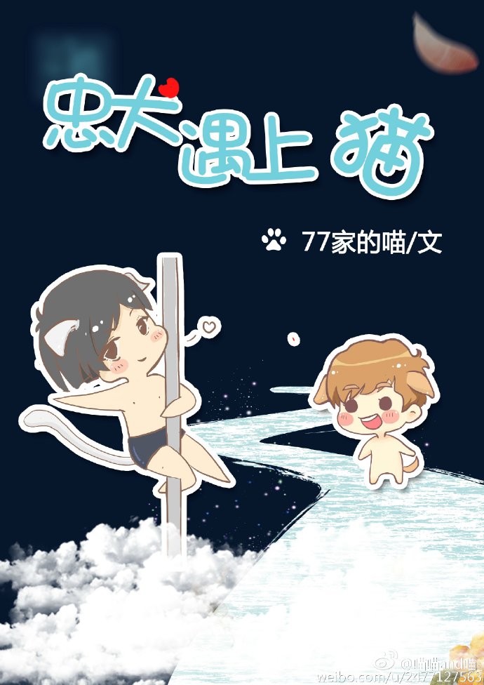 忠犬遇上猫TXT全集封面