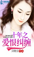 十年之爱恨纠缠TXT全集封面