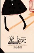 宠上天TXT全集封面