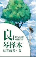 良琴择木TXT全集封面