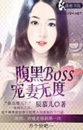Boss޶TXTȫ