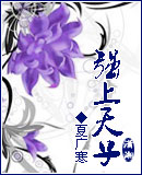 ǿTXTȫ