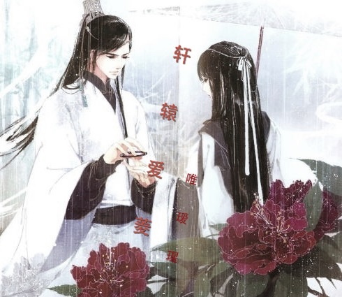 轩辕爱菱TXT全集封面