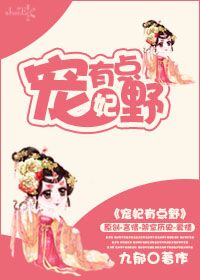 宠妃有点野TXT全集封面