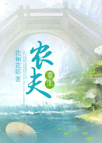重生农夫TXT全集封面