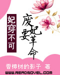 妃穿不可.废妃要革命TXT全集封面