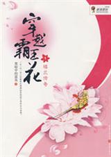 穿越霸王花(警花乱后宫)TXT全集封面