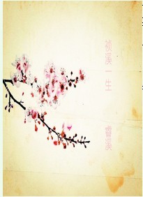 祯溪一生TXT全集封面