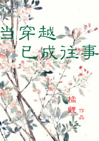 当穿越已成往事TXT全集封面