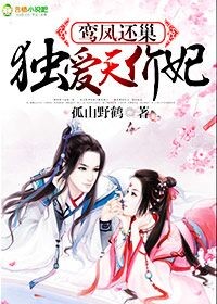 鸾凤还巢,独爱天价妃!TXT全集封面