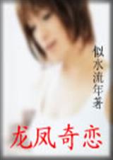 龙凤奇恋TXT全集封面