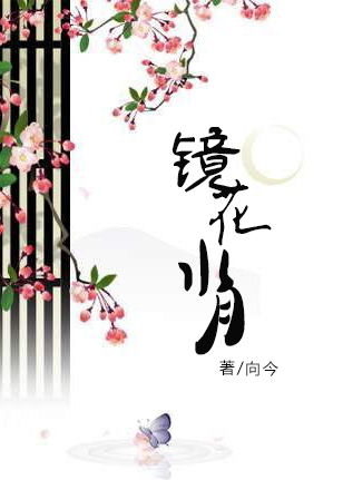 庶福晋的前世今生-镜花水月TXT全集封面