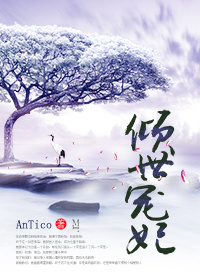 倾世宠妃TXT全集封面