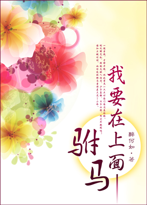 驸马,我要在上面TXT全集封面