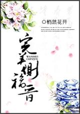 完美侧福晋TXT全集封面