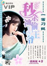 秒杀神偷王爷:一等刁妃TXT全集封面
