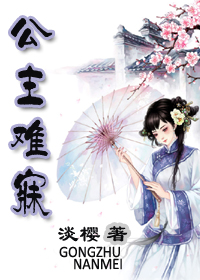 公主难寐TXT全集封面