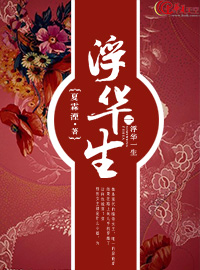 浮华一生TXT全集封面