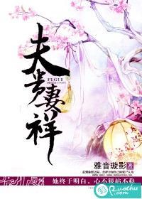 夫贵妻祥TXT全集封面