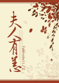 夫人有恙TXT全集封面