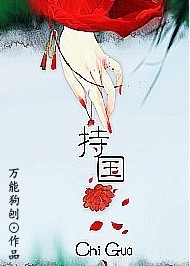 持国TXT全集封面