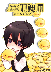 穿越之附魂师TXT全集封面