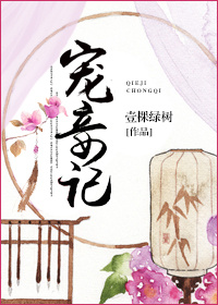 宠妾记TXT全集封面