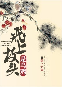 飞上枝头是乌鸦TXT全集封面