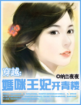 穿越:青楼王妃-妈咪王妃开青楼TXT全集封面