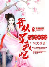 九品芝麻官之爷从了我吧TXT全集封面