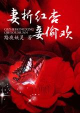 妻折红杏妾偷欢TXT全集封面