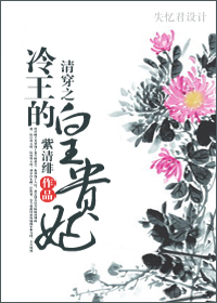 清穿之冷王的皇贵妃TXT全集封面