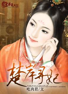 楚岸寻妃TXT全集封面