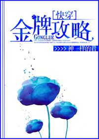 金牌攻略TXT全集封面