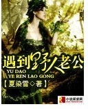 遇到野人老公TXT全集封面
