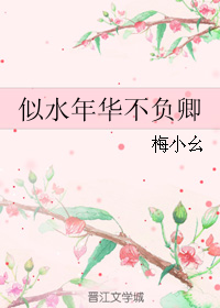 似水年华不负卿TXT全集封面