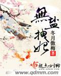 无盐拽妃TXT全集封面
