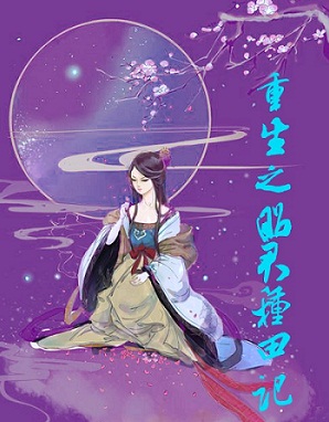重生之昭君种田记TXT全集封面