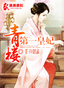 青楼第一皇妃TXT全集封面