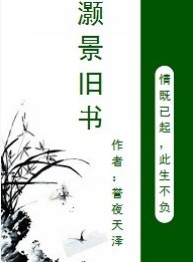 灏景旧书TXT全集封面