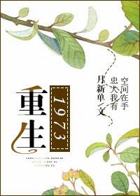 重生1973TXT全集封面