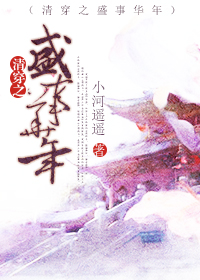 清穿之盛事华年TXT全集封面
