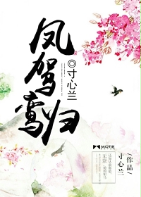 凤驾鸾归 作者:寸心兰TXT全集封面