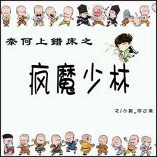 奈何上错床之疯魔少林TXT全集封面