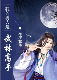 我的男人是武林高手TXT全集封面