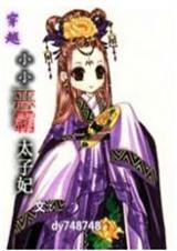 穿越:小旭霸太子妃TXT全集封面